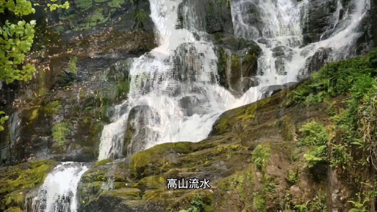 「有法律规定未成年人不能进入台球室吗?」知识问答网页-解答您的疑问